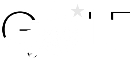 PassiogolfVN Logo